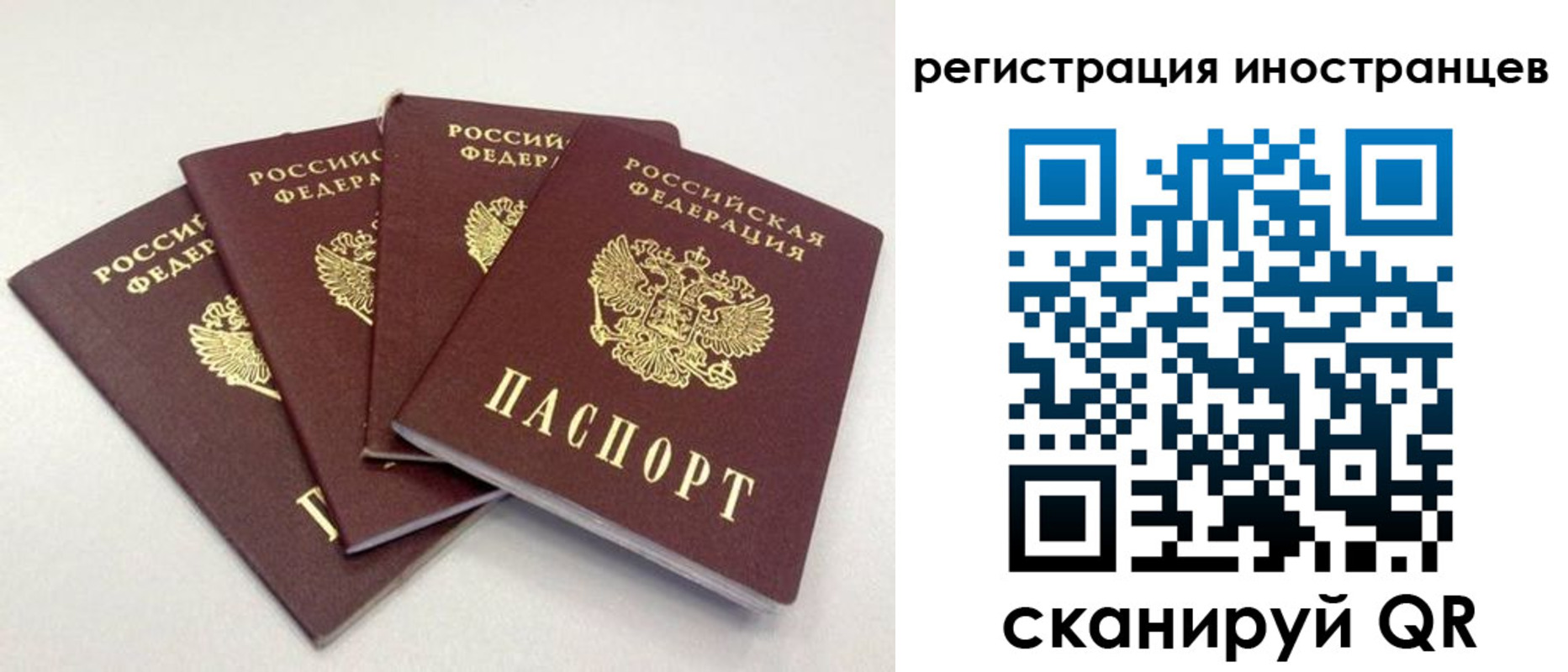 временная регистрация для школы в Великих Луках